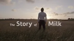 Friesland Campina "Story of Milk"